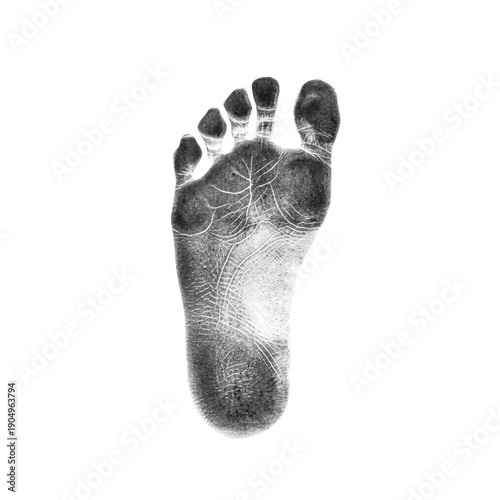 Pristine, hyperdetailed bare human foot sole impression in opaque matte black ink, capturing microscopic skin texture on a sterile white background, concept of identity and permanence