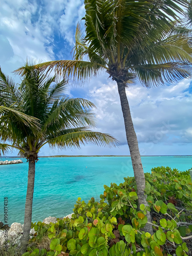 tropical island