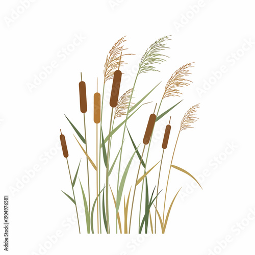 Water Cattails and Grasses