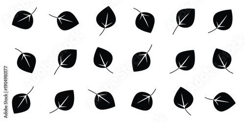Collection of stylized leaves with directional arrows indicating orientation and symmetry isolated on white background, Vector, illustration