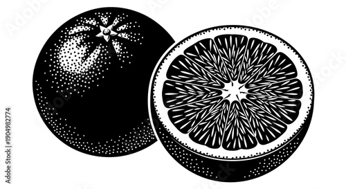 Illustration of a whole and halved orange, showcasing intricate details and texture from a close-up viewpoint.