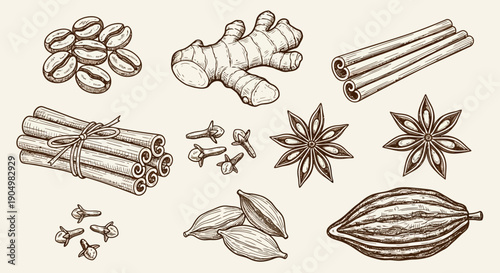 Hand-drawn illustrations of various spices and ingredients arranged on a plain background from a direct viewpoint