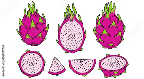 Dragon fruit illustrations showcasing vibrant pink color and white pulp with black seeds in various cut styles against a clean background
