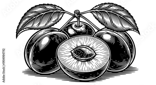 Detailed black and white illustration of three mangoes with leaves, one sliced open showcasing the pit
