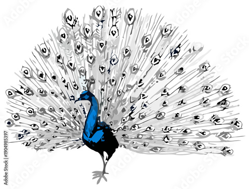 A vibrant peacock spreads its colorful tail feathers in a forest setting.