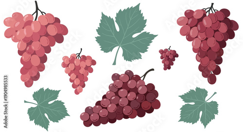 Assorted red and pink grapes with green leaves arranged in a decorative pattern on a clean background from a straightforward viewpoint
