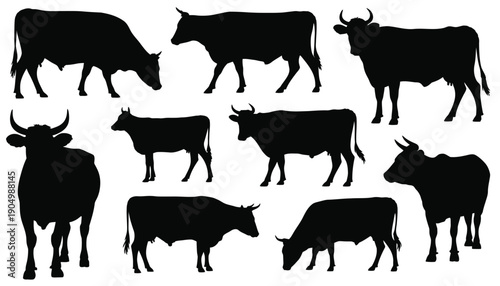 Assorted silhouettes of cattle in various poses and orientations isolated on white background, Vector, illustration