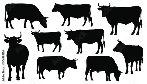 Silhouettes of diverse cattle breeds in black and white illustration style isolated on white background, Vector, illustration