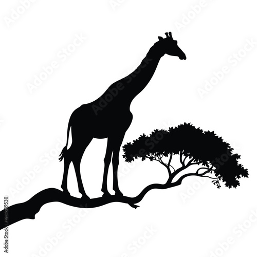Graceful giraffe silhouetted against a tree in a serene natural setting isolated on white background, Vector, illustration