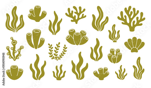 Collection of ocean plants and coral elements vector illustration