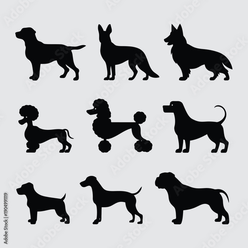Collection of stylized black silhouettes of various dog breeds in playful poses isolated on white background, Vector, illustration