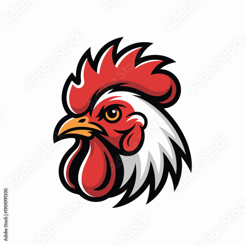 Bold rooster with vibrant red and white plumage in stylized illustration isolated on white background, Vector, illustration