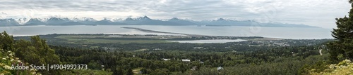 Panel kuchenny z motywem Homer Alaska Panoramic
