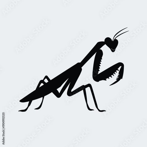 Intricate black and white illustration of a praying mantis in a dynamic pose isolated on white background, Vector, illustration