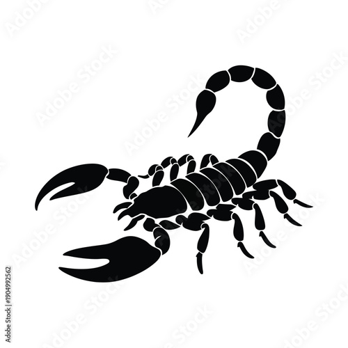 A sleek black and white illustration of a scorpion with detailed segmented body and tail. isolated on white background, Vector, illustration