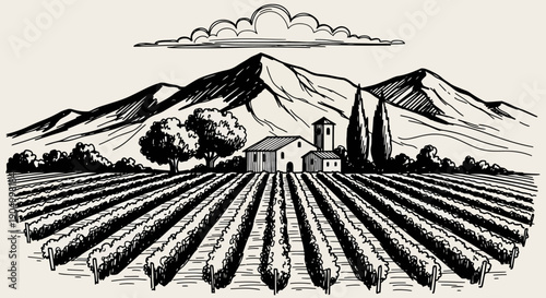 Vineyard landscape with farmhouse and mountains in the background, illustration