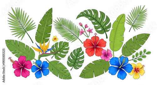 Vibrant Tropical Leaves and Exotic Flowers Border Design Isolated White Background