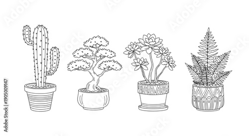 Four different potted plants including a cactus and ferns in line drawing style