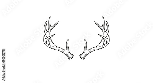 A pair of deer antlers on a in a line art style