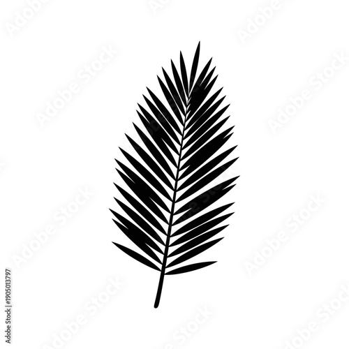 black palm leaf silhouette a clean graphic element on a white background ideal for tropical design summer concepts vacation branding.