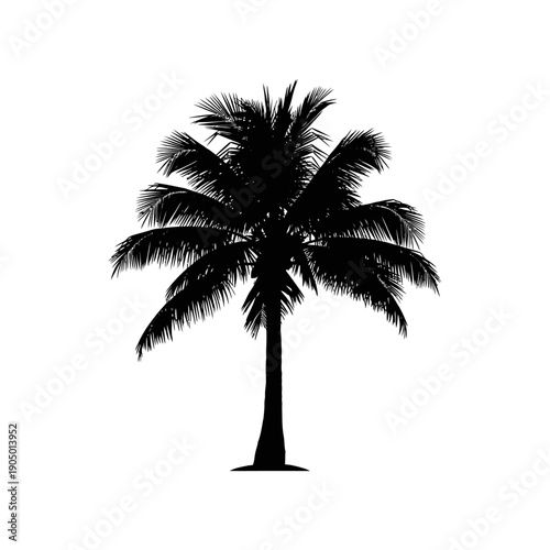 palm tree silhouette a black tropical icon against a crisp white background ideal for summer vacation and exotic destination design