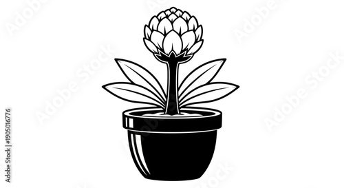 A black and white illustration of a succulent plant in a pot with large leaves and a flower bud viewed from the front