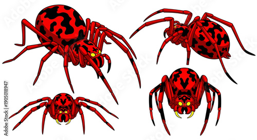 Multiple red spiders with black markings on their bodies viewed from different angles