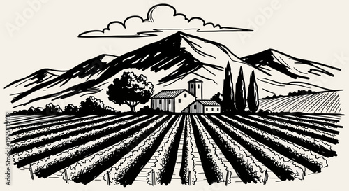 A serene vineyard landscape with a house and mountains in the background, illustrated in a black and white artwork