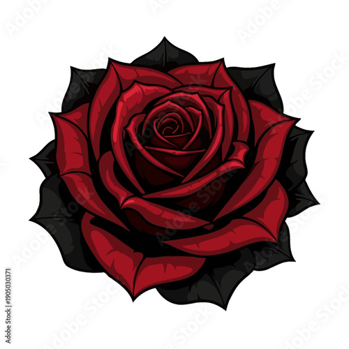 Dramatic Red Rose with Dark Black Leaves
