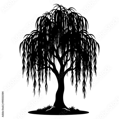 Weeping Willow