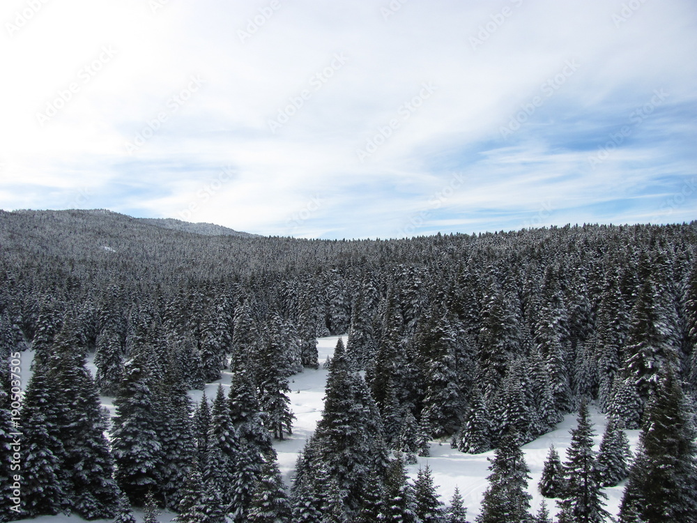 Fototapeta premium Snowy Forest Hills and Mountain Range / Karlı Orman Tepeleri ve Dağ Silüeti