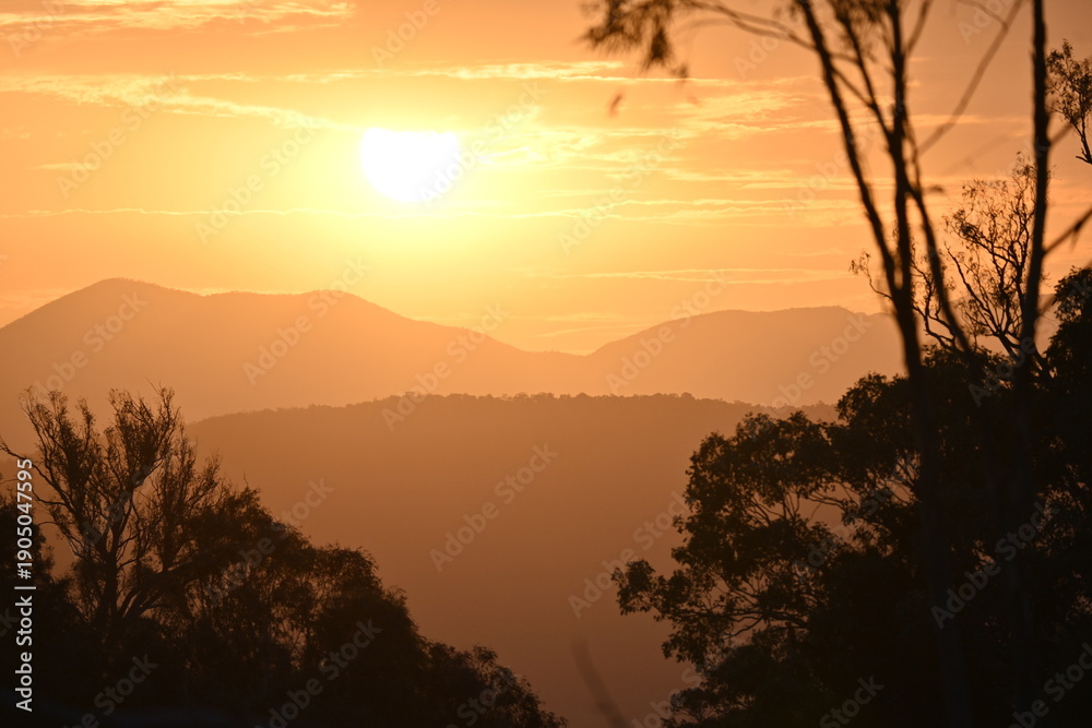 Fototapeta premium Golden sunset. Australia. Eucalypt tree. Summer. Copy Space. Looking west over the Brindabella Mountain Range, Canberra, ACT. Silhouette tree, layered mountains. 