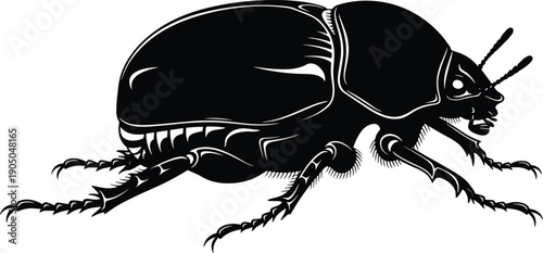 Black beetle insect silhouette vector illustration, garden pest bug graphic, isolated on white background for nature and biology education design,
