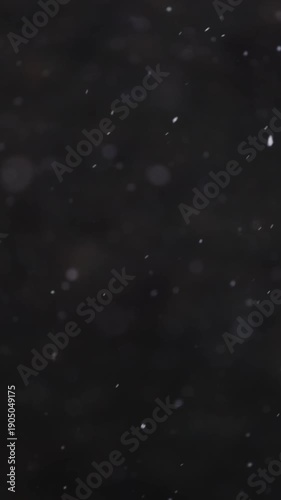 夜の空を背景にライトに照らされて降る雪のスロー映像（縦動画）