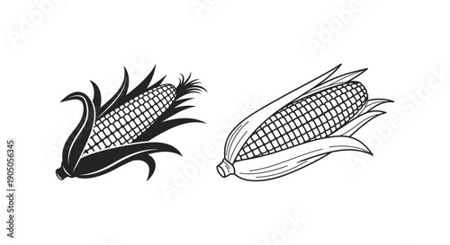 Black and white illustration of two corn cobs with husks.