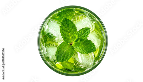 Overhead shot of a refreshing green drink with mint sprig and ice cubes