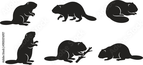 Set of beaver silhouettes in different poses, sitting standing gnawing wood wild animal clipart isolated on white background, wildlife design elements for logo, print and branding