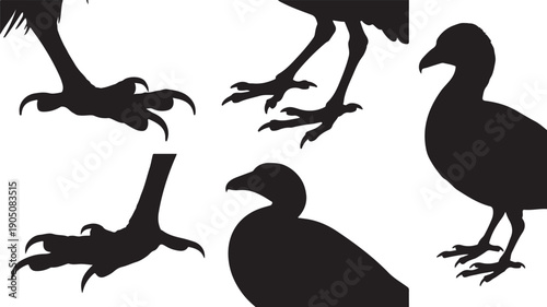Black silhouette bird claws and heads on white background
