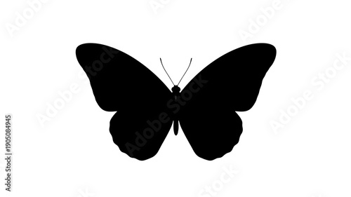 Butterfly Silhouette in Simple Elegant Black on White Background for Graphic Design