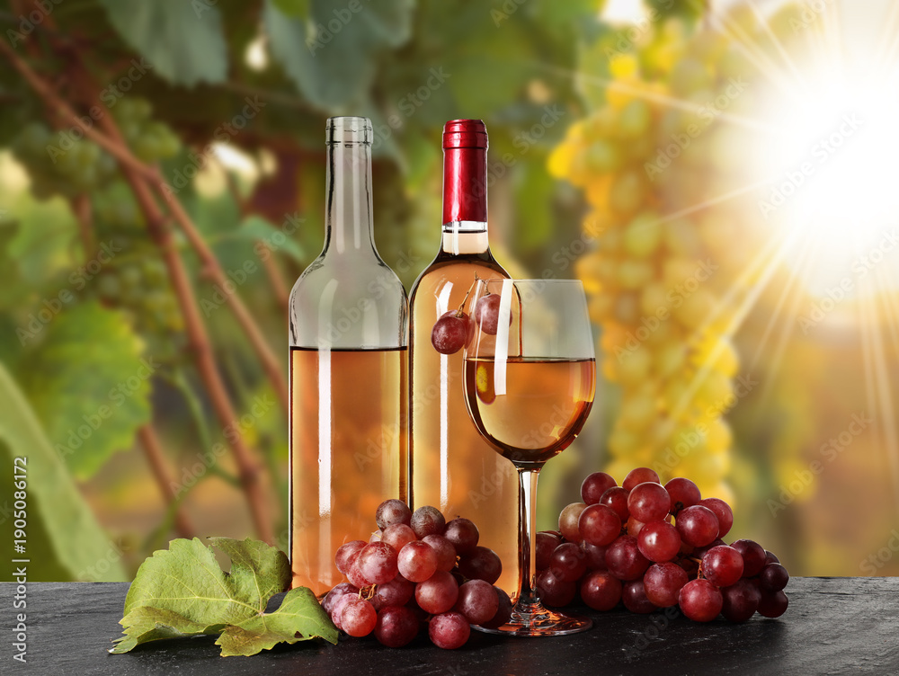 Obraz premium Wine and fresh grapes on table. Glass and bottles in vineyard