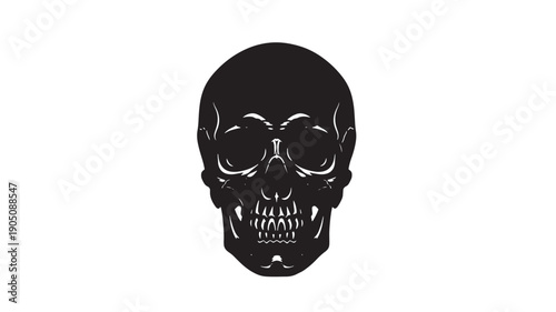 Human Skull Silhouette with Dramatic Lighting in Black and on Plain for Halloween Design isolated on a transparent background