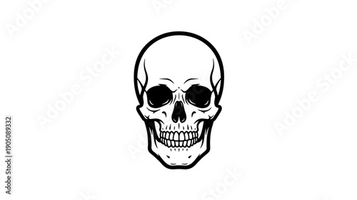 Human skull illustration in minimalist style with bold black lines on for halloween design isolated on a transparent background
