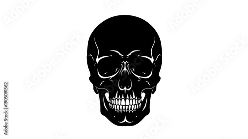 Human Skull Silhouette in Dark Moody Lighting on for Halloween Design isolated on a transparent background
