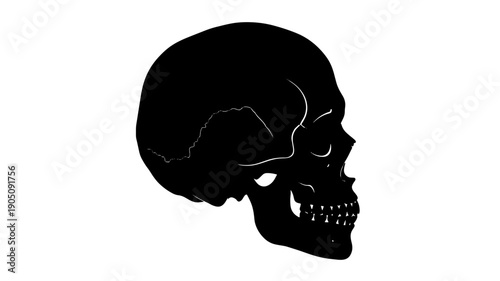 Human Skull Silhouette in Dark Moody Black Vector Illustration for Medical Education isolated on a transparent background