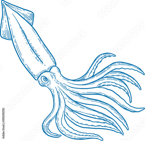 A minimalist blue squid illustration in a flat design style with tentacles