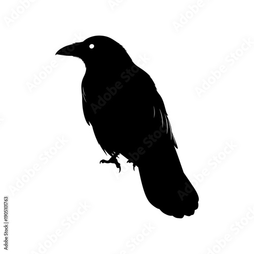 Black Bird Silhouette Profile Isolated White.