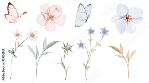Watercolor floral set with soft pastel flowers butterflies and thin stems in pink beige and blue tones. Illustration for invitations, postcards, packaging labels, stationery or gentle spring designs.