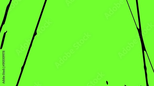 Glitchy Signal Interference Overlay with Green Screen Chroma Key