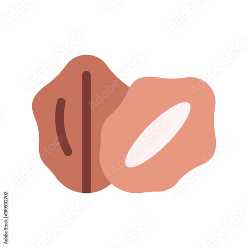 Fresh Dates Fruit Icon - Sunnah Food for Fasting