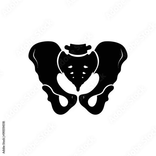 Photography Human Pelvis Bone Structure Silhouette Medical Illustration.